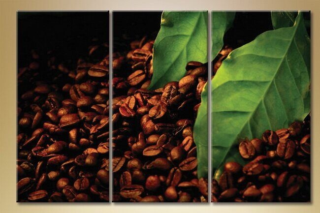 Картина Magic Color Triptych Coffee Beans (1547222)