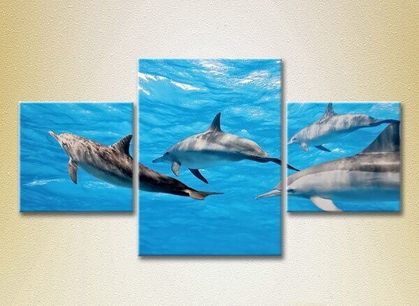 Pictură Magic Color Triptych Dolphin Flock 01 (2699019)