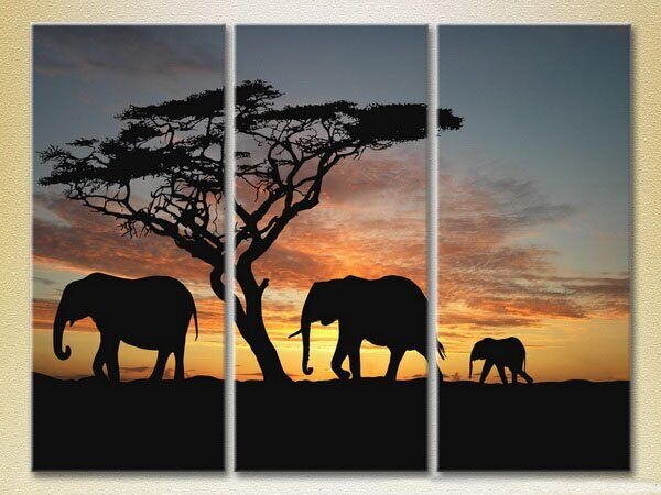 Картина Magic Color Triptych Elephants Sunset in Africa 01 (2699005)