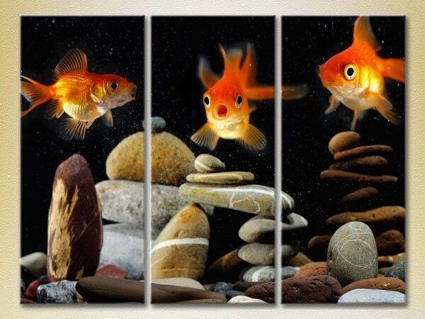 Картина Magic Color Triptych Goldfish 02 (2698983)