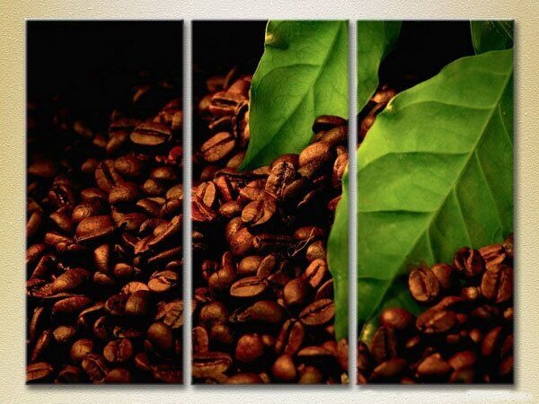 Pictură Magic Color Triptych Grains and leaves of coffee (2698642)