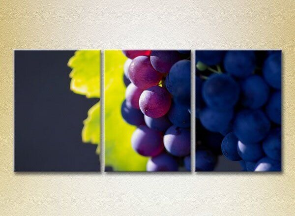 Картина Magic Color Triptych Grapes Lydia (2698708)
