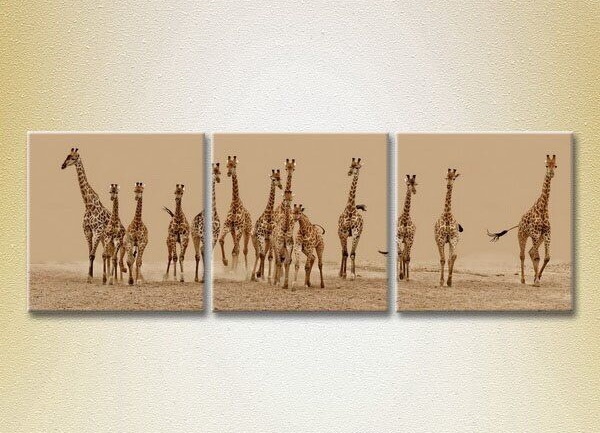 Картина Magic Color Triptych Herd of giraffes (2699008)