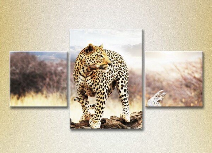 Картина Magic Color Triptych Leopard on a log (2698982)