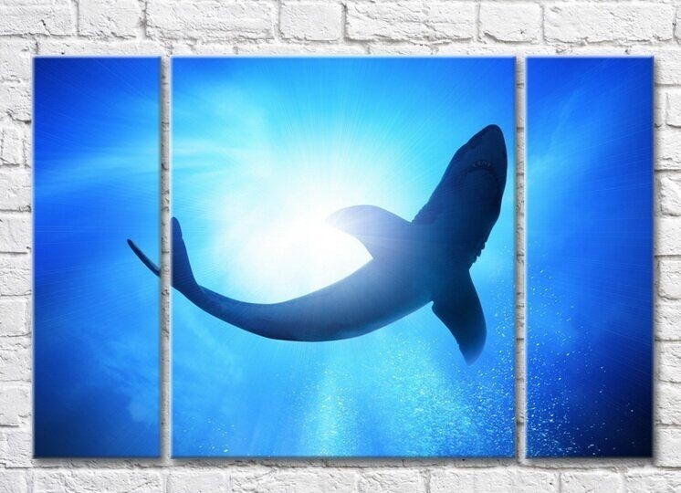 Картина ArtPoster Shark swims in the sea (3469207)