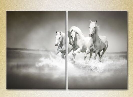 Картина ArtPoster Three White horses 02 (2602975)
