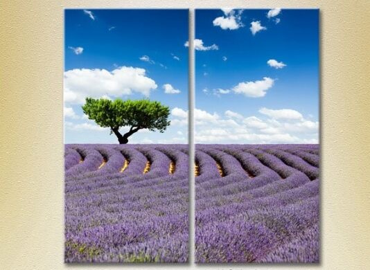 Картина ArtPoster Tree in lavender field 03 (2164454)