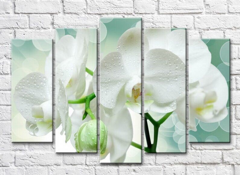 Pictură ArtPoster White orchid branch on Green background (3551905)