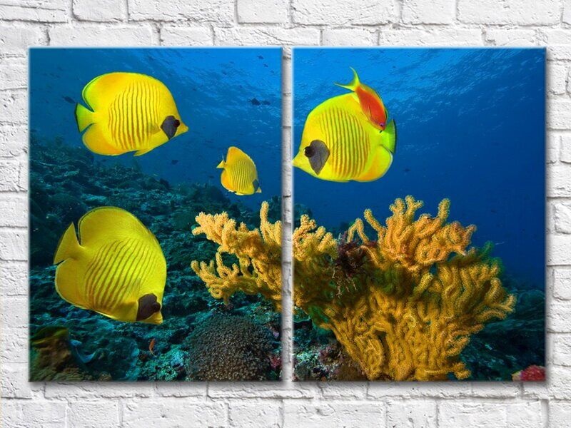 Pictură ArtPoster Yellow fish and corals at the bottom (3453748)