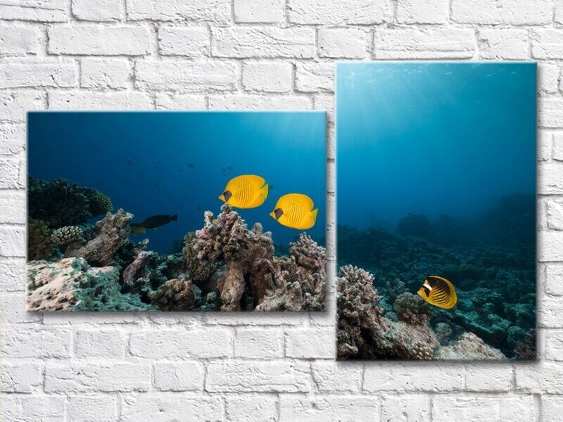 Pictură ArtPoster Yellow fish swimming in the sea (3453837)