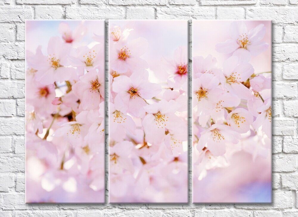 Pictură Rainbow Abundant cherry blossom (500467)