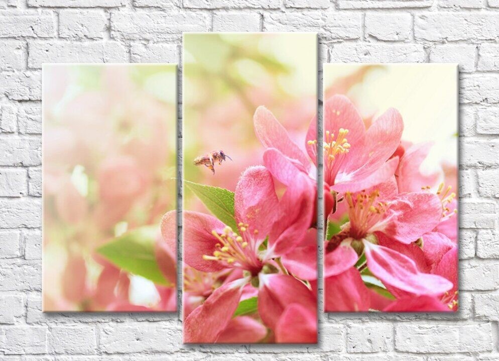 Pictură Rainbow Apple Pink flowers and bee (500839)