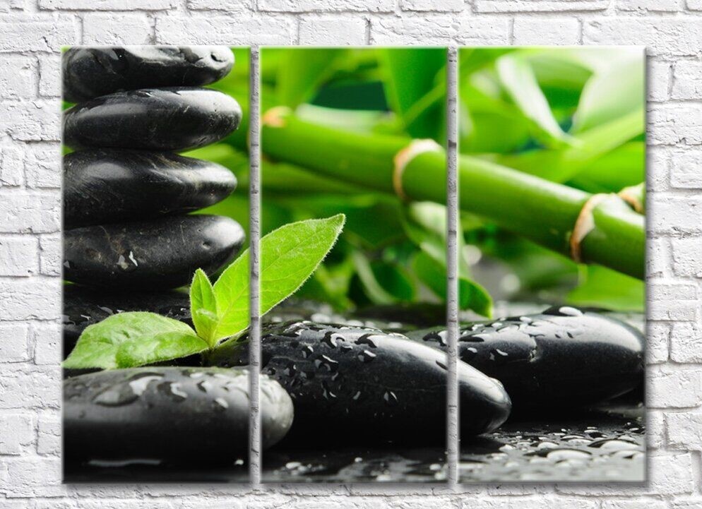 Картина Rainbow Black stones and bamboo (500836)