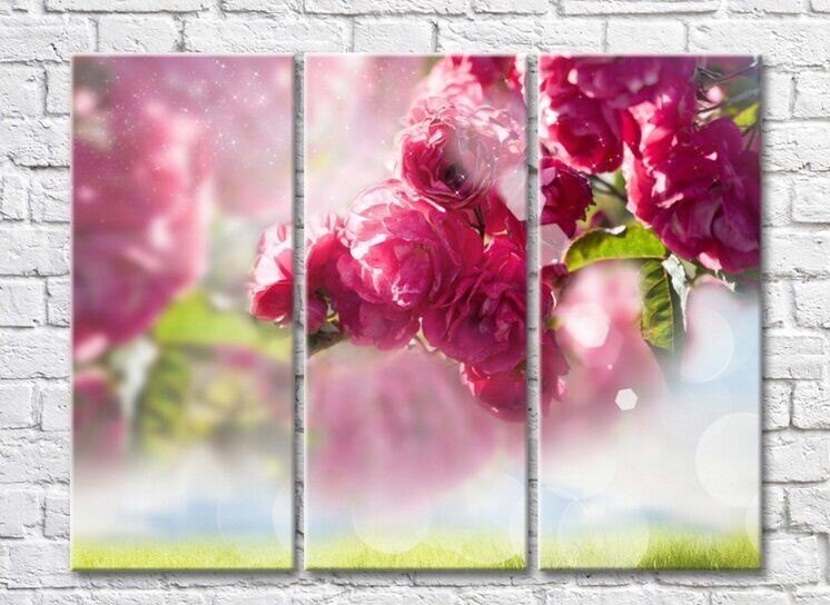 Картина Rainbow Blooming cherry on a background of grass (3448924)