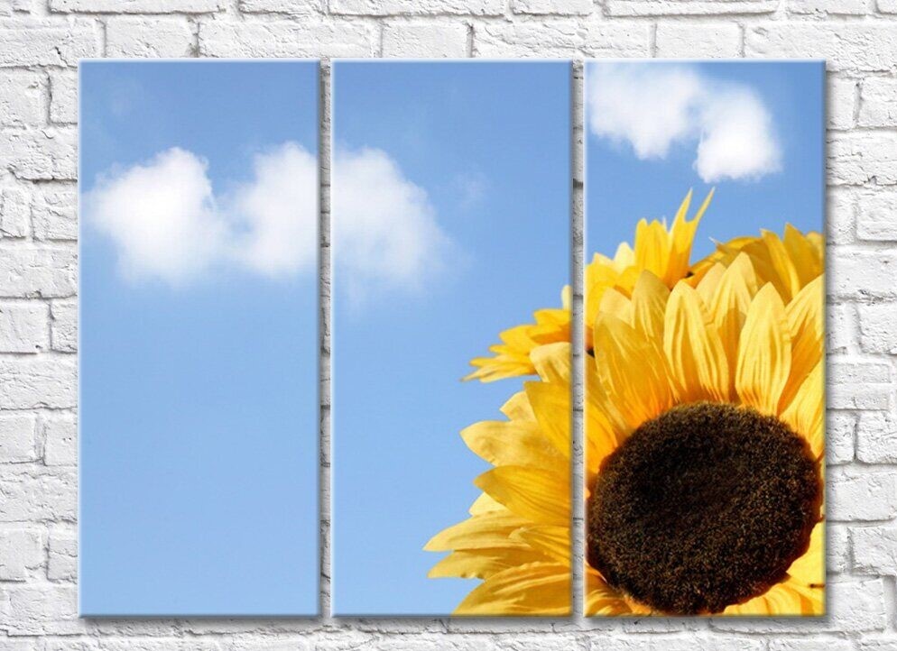 Картина Rainbow Close up of a sunflower against the sky with clouds (500416)