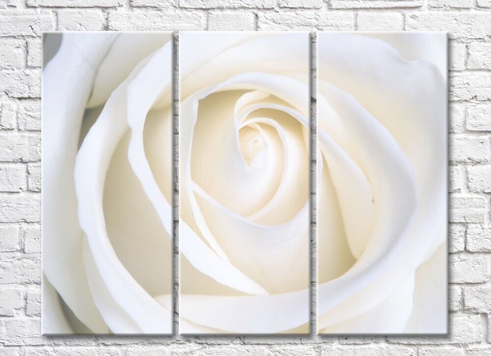 Картина Rainbow Cream Rose Petals (500429)