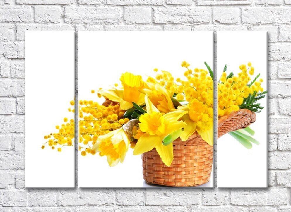 Картина Rainbow Daffodils and mimosa twigs in a basket (500453)