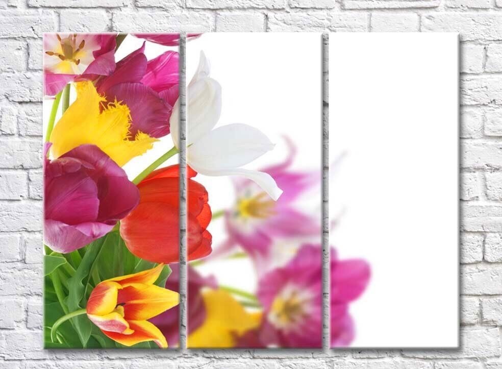 Картина Rainbow Delicate bouquet of multicolored tulips (500464)
