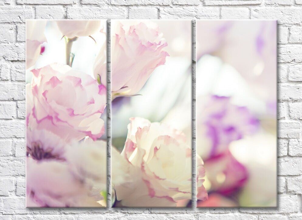 Картина Rainbow Delicate eustoma flowers on a light background (500460)