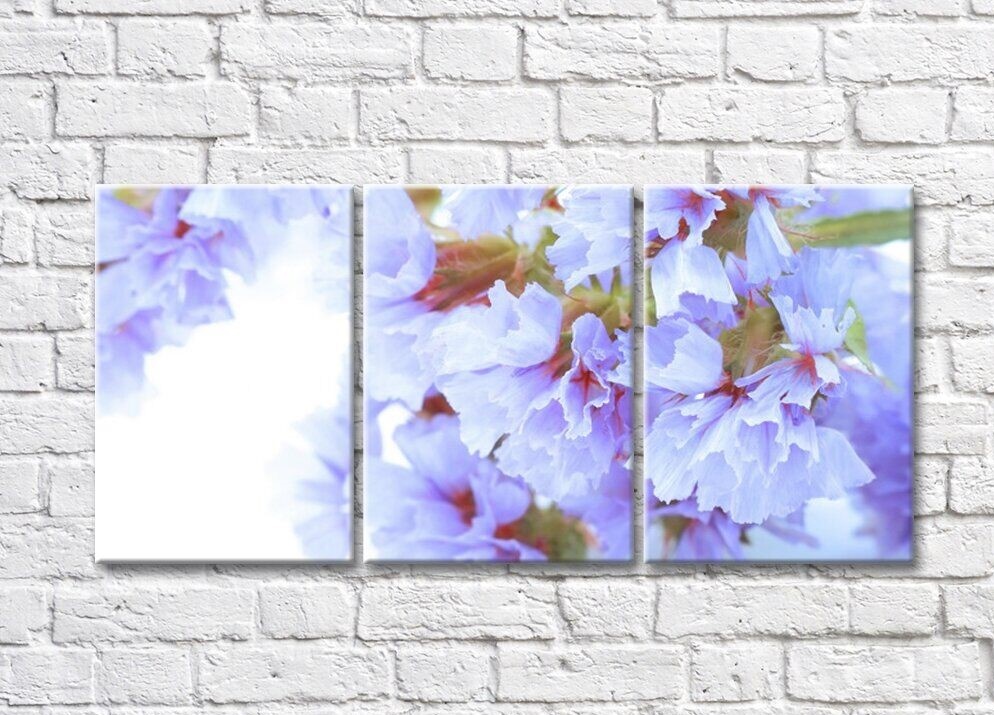 Картина Rainbow Delicate lilac flowers on a light background (500457)