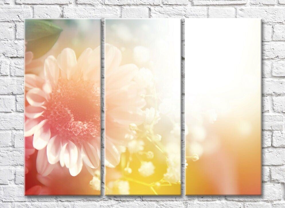 Картина Rainbow Delicate pink flower on a colorful background (500465)