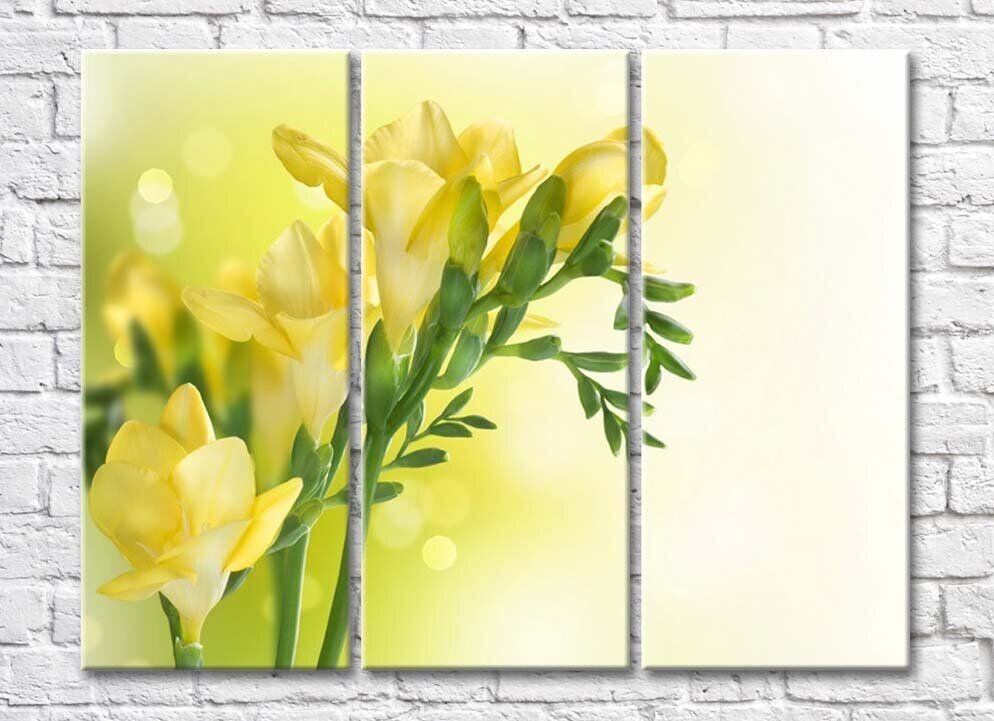 Картина Rainbow Delicate yellow freesia flowers (500461)