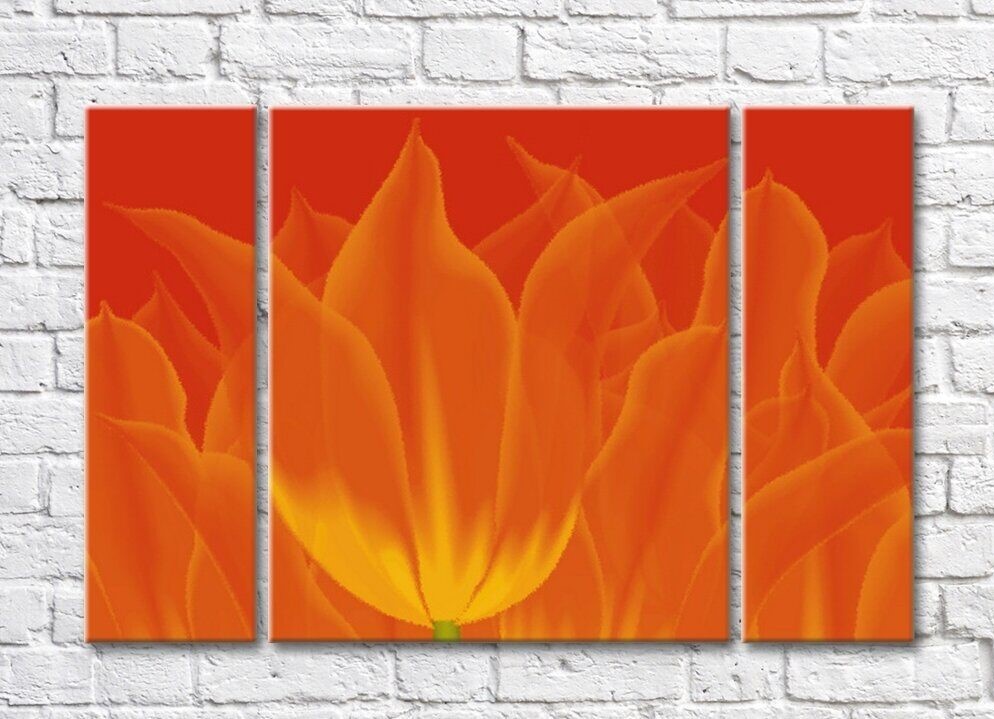 Картина Rainbow Fiery abstraction from tulip petals (500468)