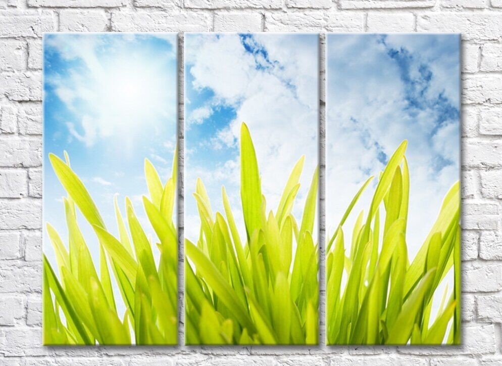 Pictură Rainbow Green grass against an azure sky (500308)
