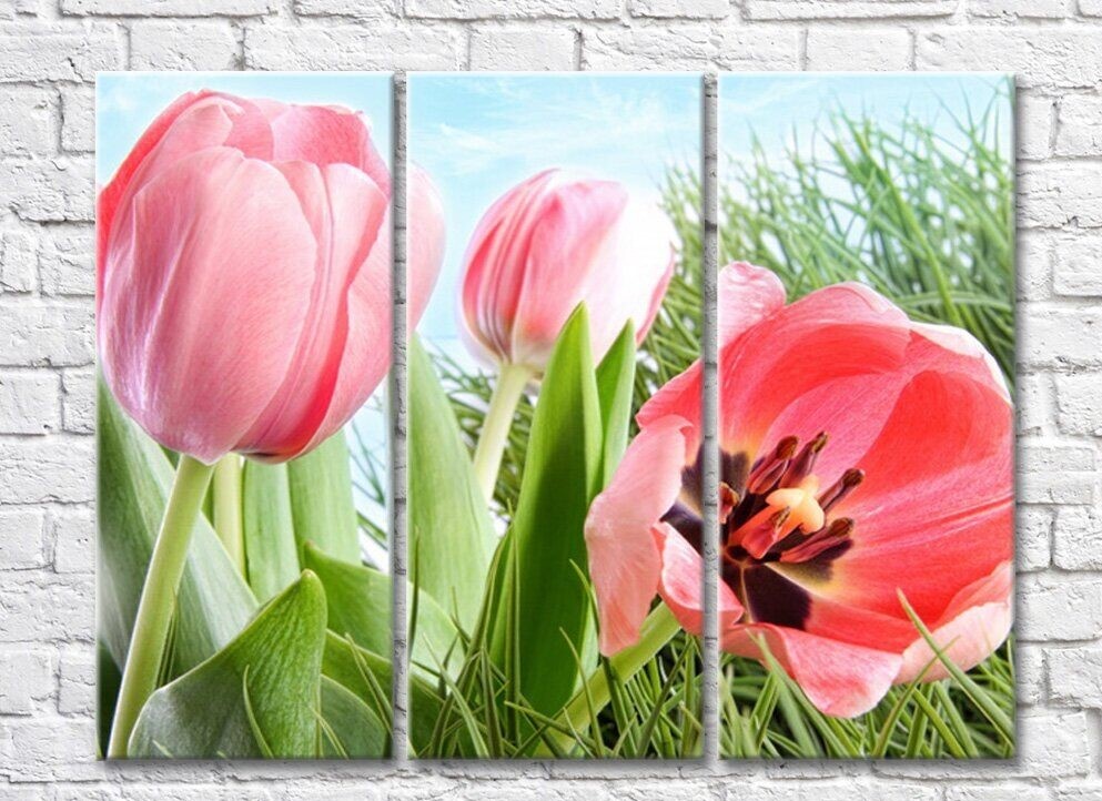 Картина Rainbow Huge flowers of pink tulips on a background of grass (500472)