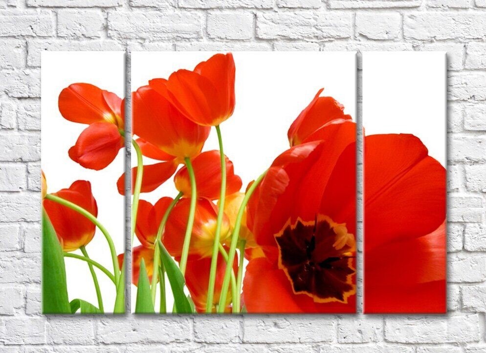 Картина Rainbow Huge red tulip flower on the background of a bouquet (500470)