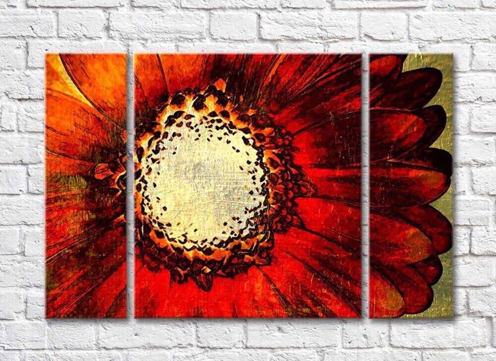 Картина Rainbow Large burgundy gerbera flower drawing (500406)
