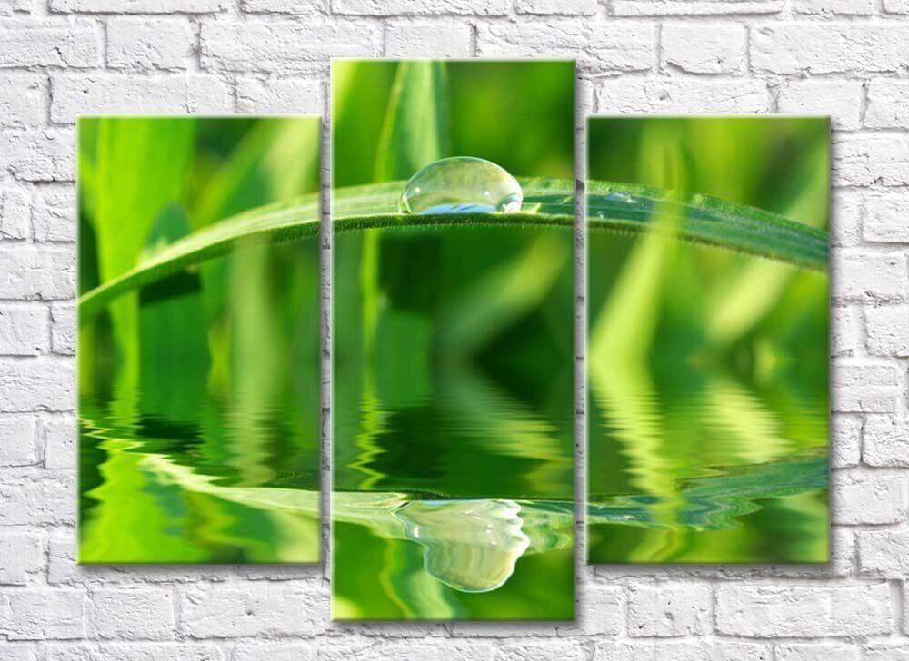 Картина Rainbow Large dew drop on a blade of grass above the water (500370)