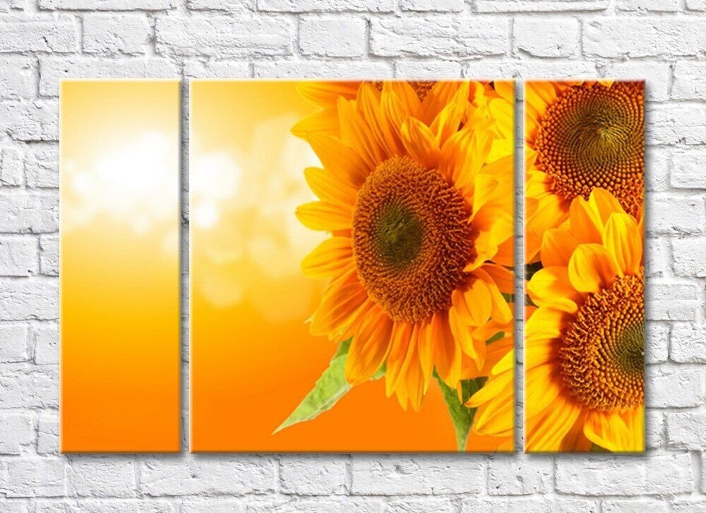 Картина Rainbow Large flowers of a sunflower on an orange background (500389)