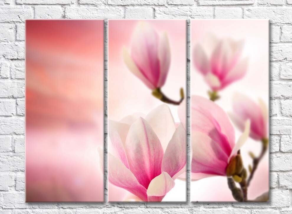 Картина Rainbow Large flowers of pink magnolias (500393)