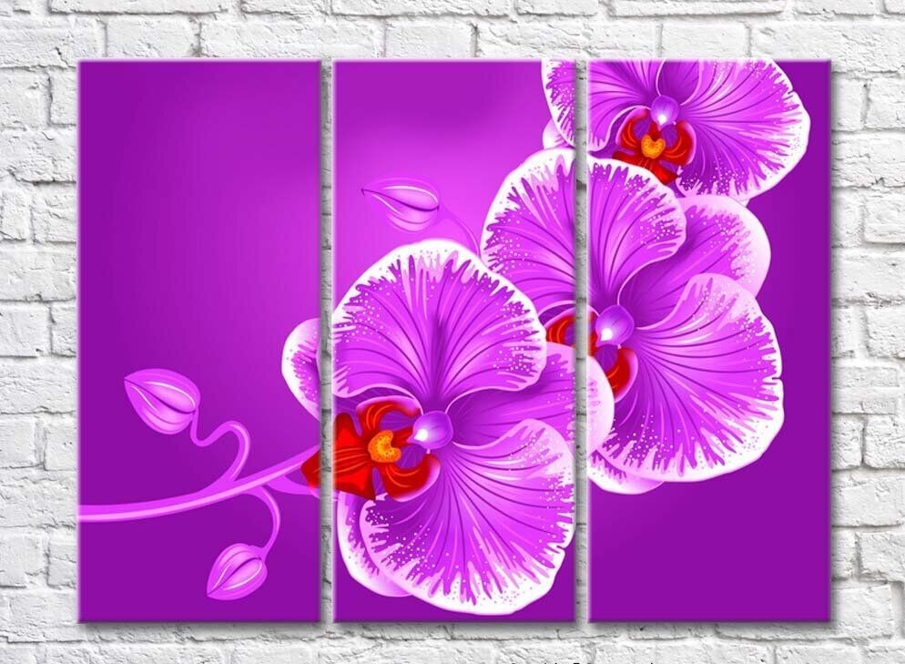 Картина Rainbow Large orchid flowers on a purple background (500388)