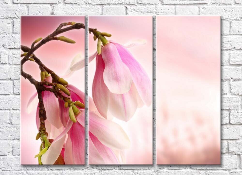Картина Rainbow Large pink magnolia flowers on a branch (500391)