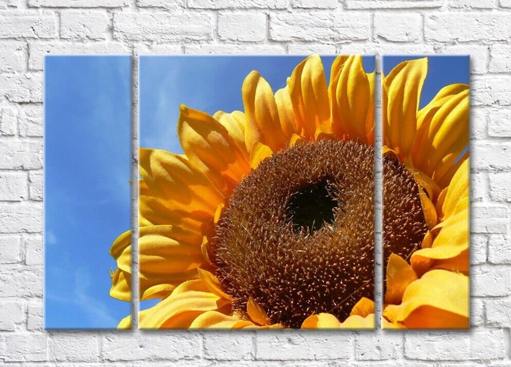 Картина Rainbow Large sunflower flower (500417)