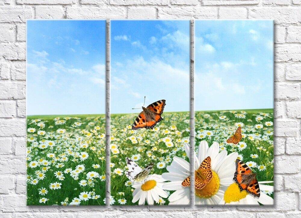 Pictură Rainbow Orange butterflies against a camomile field (500486)