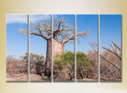 Картина Rainbow Polyptych Baobab 01 (2224802)
