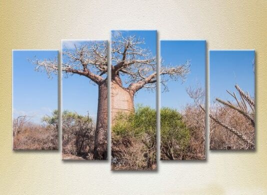 Pictură Rainbow Polyptych Baobab 02 (2224804)