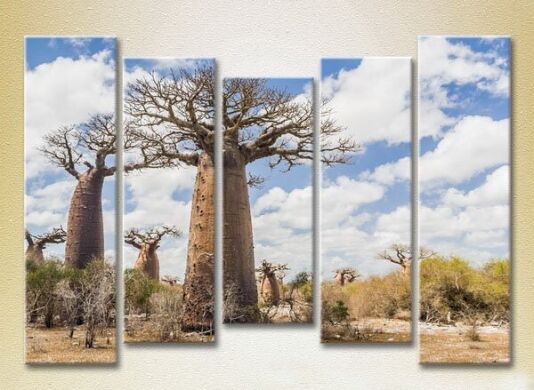 Картина Rainbow Polyptych Baobabs in the Savannah 03 (2224823)