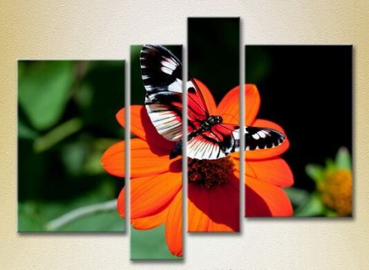 Pictură Rainbow Polyptych Butterfly on a flower (2222215)