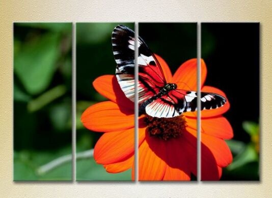 Картина Rainbow Polyptych Butterfly on a flower 01 (2222242)