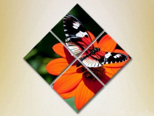 Pictură Rainbow Polyptych Butterfly on a Flower 02 (2222243)