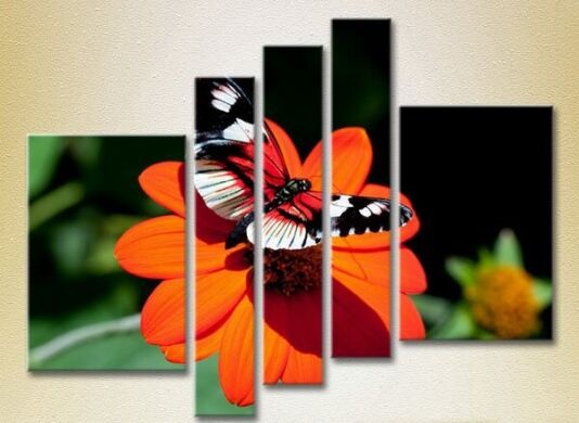 Pictură Rainbow Polyptych Butterfly on a flower 04 (2224620)