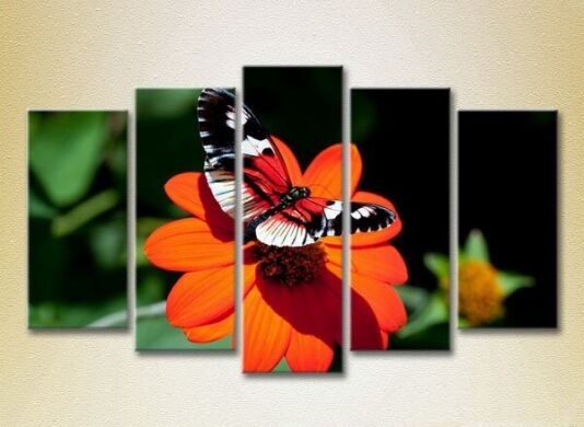 Картина Rainbow Polyptych Butterfly on a Flower 05 (2224642)