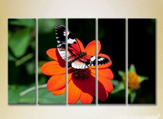 Картина Rainbow Polyptych Butterfly on a Flower 07 (2224644)