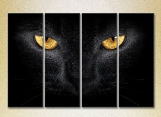 Картина Rainbow Polyptych Eyes of a Black Cat 01 (2222219)