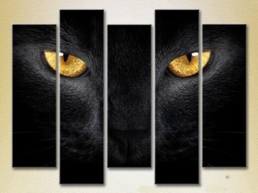 Pictură Rainbow Polyptych Eyes of a Black Cat 03 (2224622)
