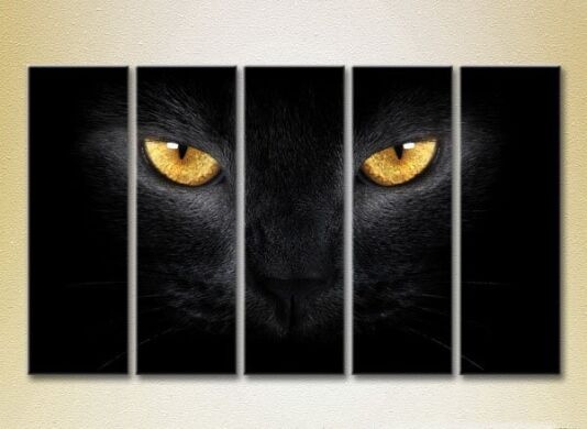Pictură Rainbow Polyptych Eyes of a Black Cat 04 (2224626)